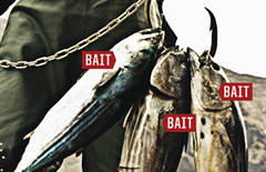 Expedition Great White Poster