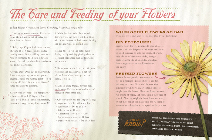 Central Market Floral Guide