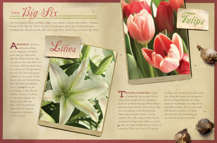 Central Market Floral Guide